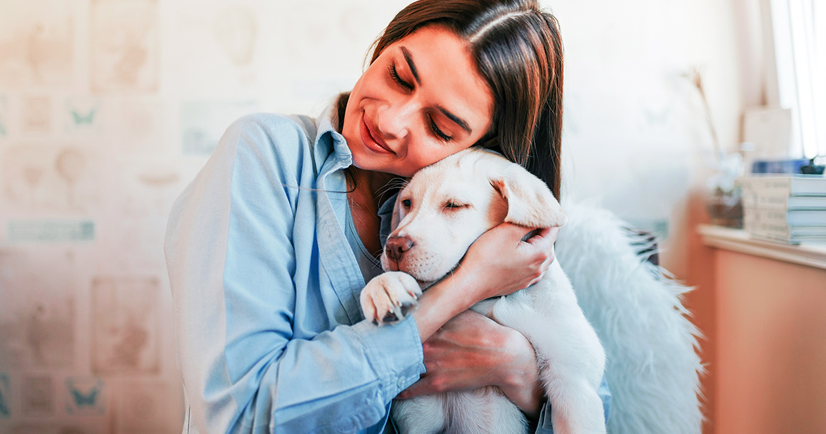 Bem-Vindo ao Lar: Orientações para Novos Donos de Pets